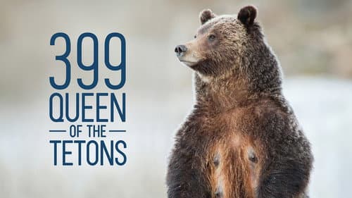 Grizzly 399: Queen of the Tetons Bild 2