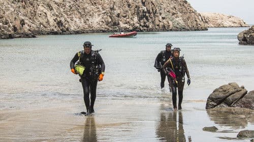 Pacificum – Rückkehr zum Meer Bild 6