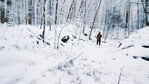 Tex Montana Will Survive! Bild 3