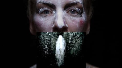 Everyone Afraid to Be Forgotten Bild 1