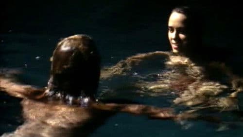 Heiße Nächte im Paradies Bild 2