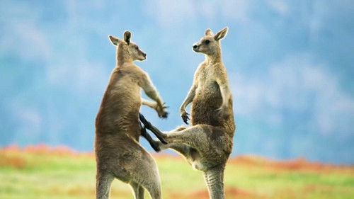 Planet der Liebe Bild 5