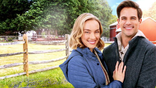 Timeless Love Bild 3