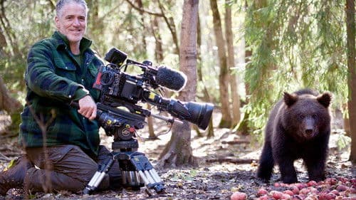 Grizzly Bear Cubs and Me Bild 4