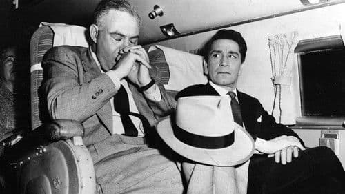 Hyänen der Straße Bild 4