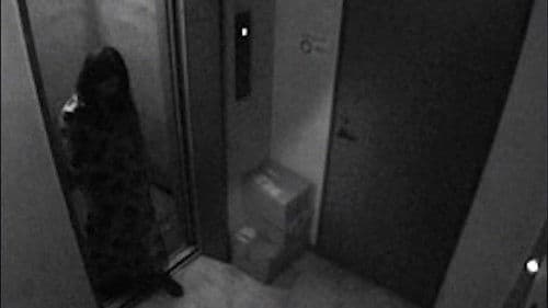 呪われた心霊動画 XXX 4 Bild 2