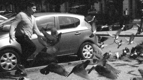 Rekviem egy galambért Bild 1