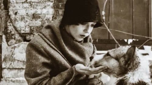 Собачье сердце Bild 2