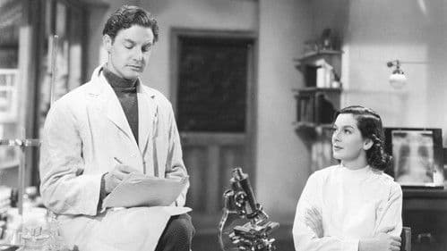 Die Zitadelle Bild 3