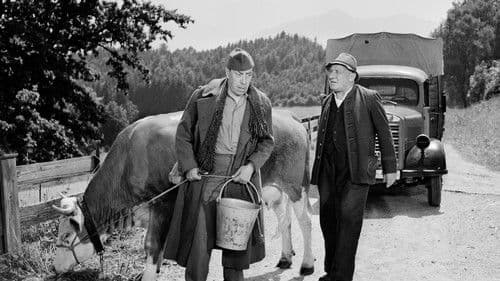 Ich und die Kuh Bild 8