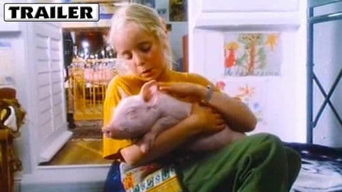 Rennschwein Rudi Rüssel Bild 1