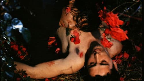 Der Rosenkönig Bild 1