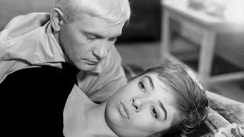 Die unschuldigen Zauberer Bild 8