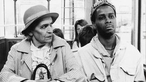 Schwarzfahrer Bild 1