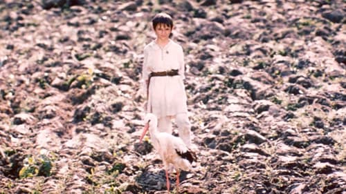 Білий птах з чорною ознакою Bild 3