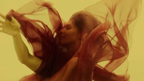 A Paixão Segundo G.H. Bild 2