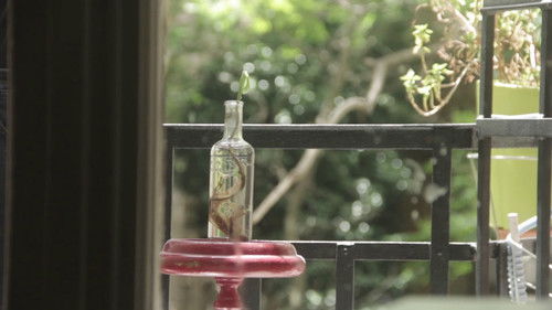 Μανδραγόρας Bild 1