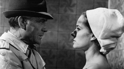 Das Geheimnis der jungen Witwe Bild 1