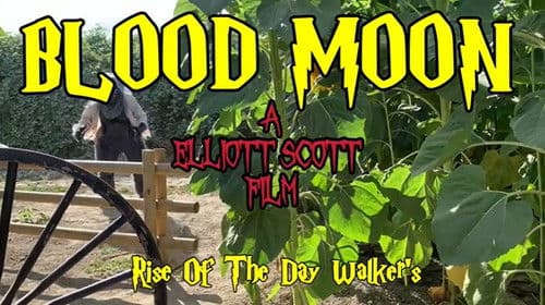 Blood Moon Bild 1