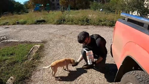 犬と戦争: ウクライナで私が見たこと Bild 6