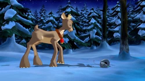 Lauras Weihnachtsstern Bild 5