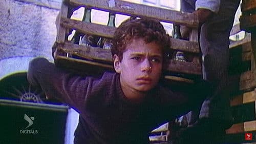 Qortimet e vjeshtës Bild 1