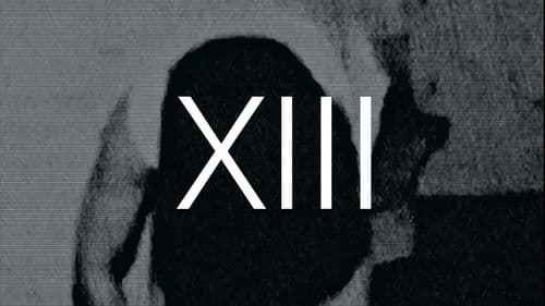 XIII Bild 1