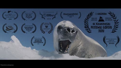 Trzy sztuki w Antarktyce Bild 1