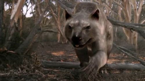 Death of the Megabeasts Bild 2