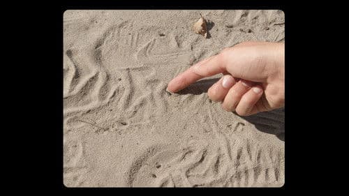 Over het Wildrooster Bild 1