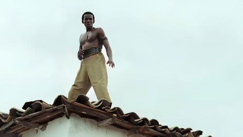 Besouro - Die Geburt einer Legende Bild 1