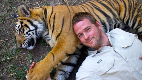 Tigers About the House Bild 1