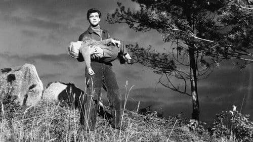 Ein Kind war Zeuge Bild 6