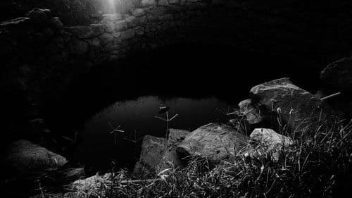 Heyfek Neragirbar Bild 2