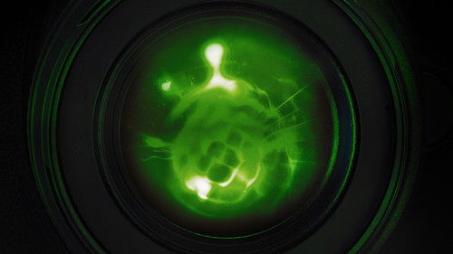 Unheimliche Videos - Wahrheit oder Fake? Bild 2