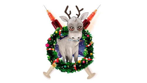 Reindeerspotting – pako Joulumaasta Bild 7