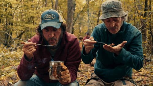 C'est le monde à l'envers ! Bild 5