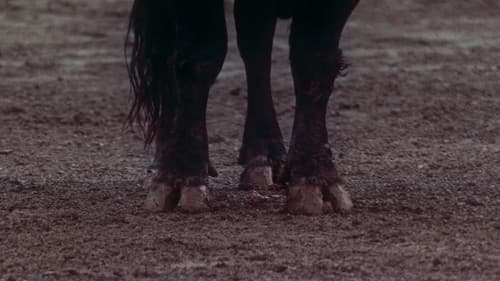 TARDES DE SOLEDAD – Nachmittage der Einsamkeit Bild 4