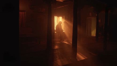 புர்கா Bild 7