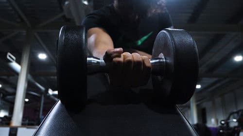 The Anthology of the Night Bild 1