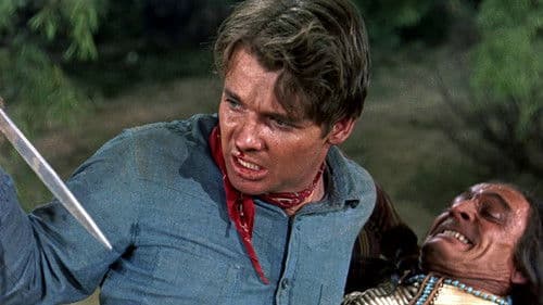 Adlerschwinge Bild 5