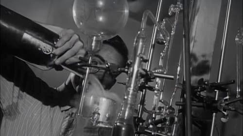 Fortune Seekers Bild 1