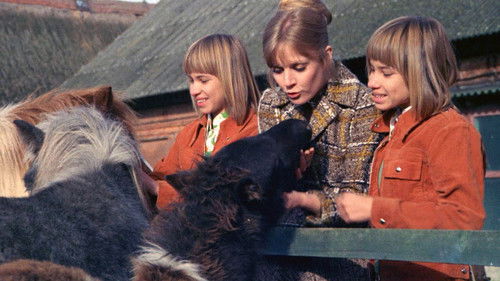 Die Zwillinge vom Immenhof Bild 3