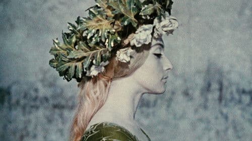 Die Farbe des Granatapfels Bild 5