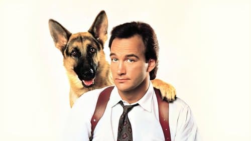 Mein Partner mit der kalten Schnauze Bild 1