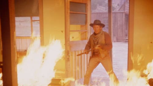 Shootout in a One-Dog Town Bild 2