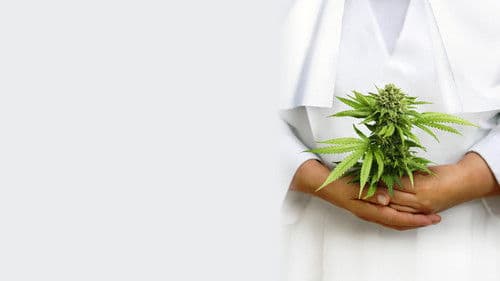 Breaking Habits Bild 4