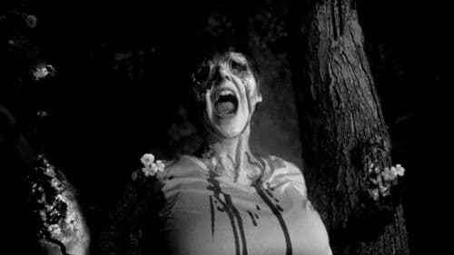 Greywood's Plot Bild 1