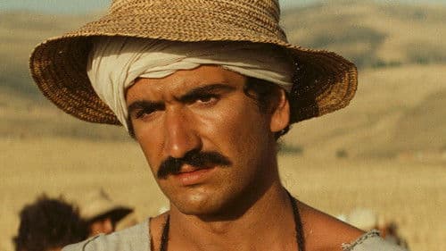 Chronique des Années de Braise Bild 8