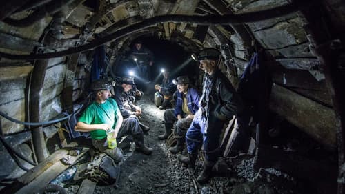 Planeta Petrila Bild 4